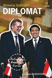 Bekerja Sebagai Diplomat